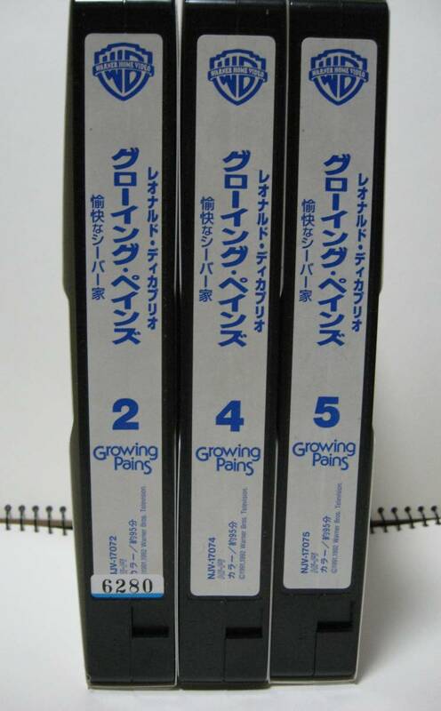 名作ホームコメディ 愉快なシーバー家（字幕版）３本セット　レオナルド・ディカプリオ　　レンタル落ちVHS 　グローイング・ペインズ