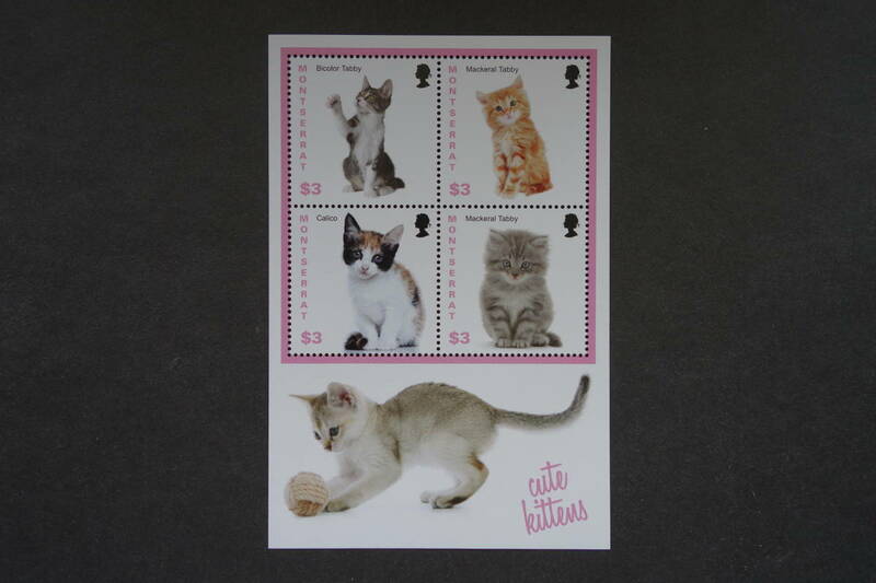 外国切手：（英国海外領土）モントセラト切手 「かわいい子猫」 4面ｍ/ｓ 未使用
