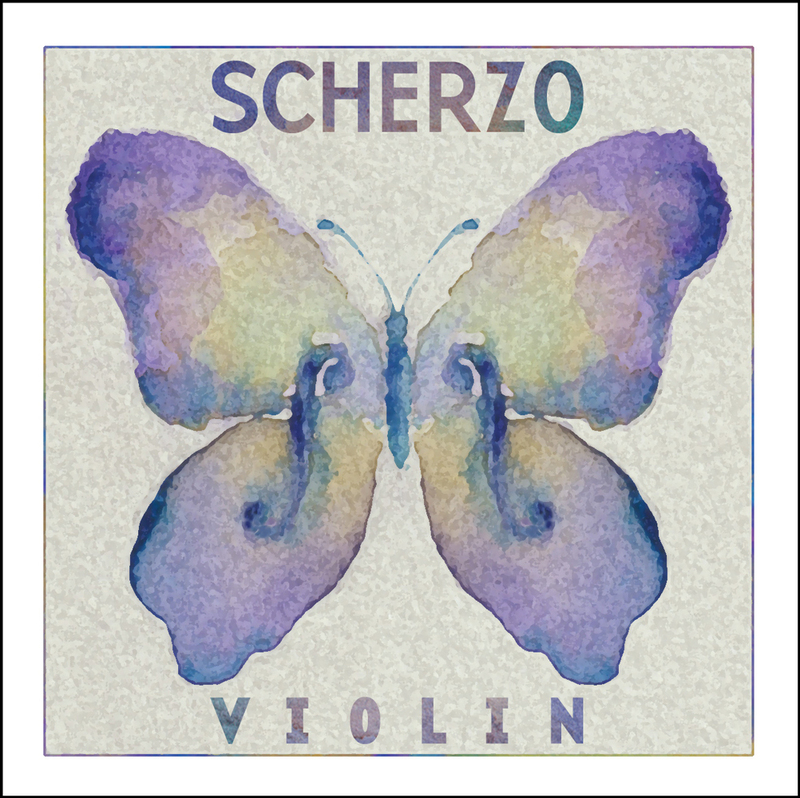 バイオリン弦◆スケルツォ SCHERZO 上質スチール◆4/4サイズ 4弦セット