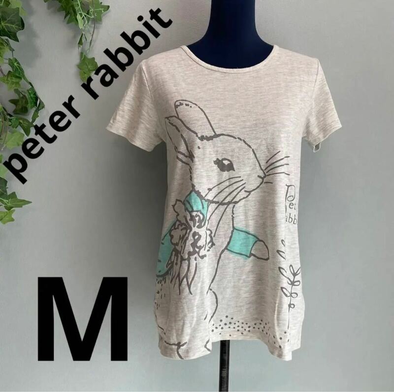 【peter rabbit】ピーターラビット 半袖シャツ M キャラクター 美品