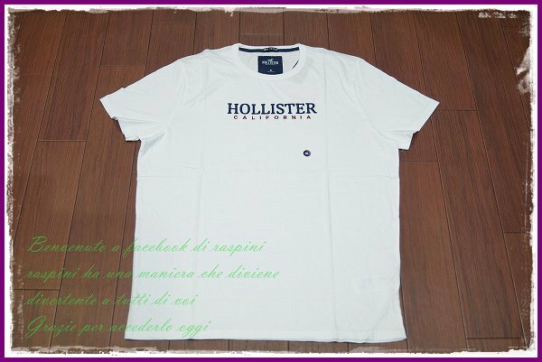 ◆◇Hollister 刺繍 ロゴ Tシャツ 半袖/XL/ホワイト/白/メンズ ホリスター アバクロ カットソー a&f◇◆