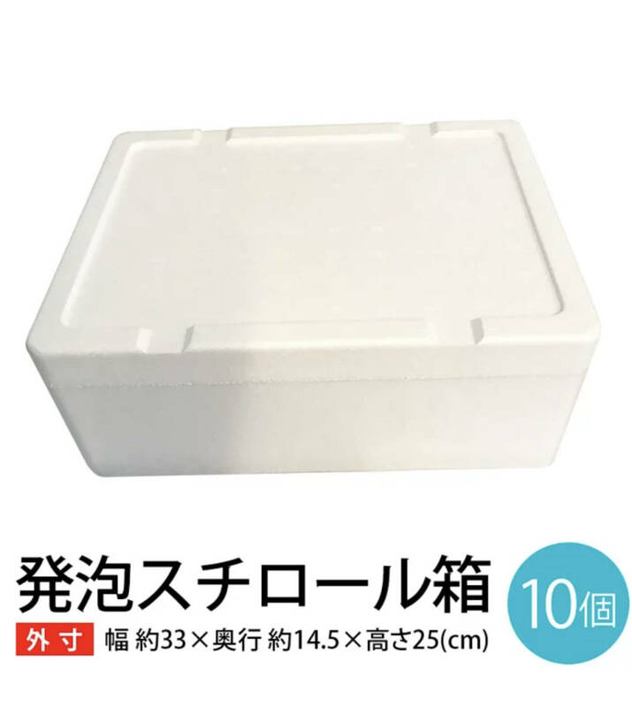 g 発泡スチロール10箱【外寸 幅約33×奥行約14.5×高さ約25cm】宅急便 宅配便 80サイズ BBQ SDGs 省エネ エコ 節電 釣り 梱包資材