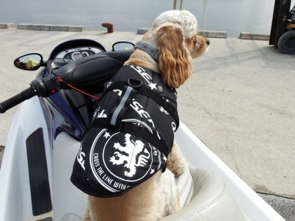 【WING】送料無料☆Quakysense☆EMBLEM DOG VEST（ドッグベスト）犬用ライフジャケットDOG315 L,XLサイズ☆