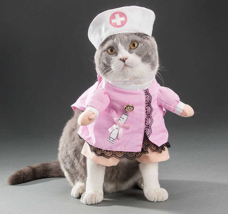 猫 犬 服 ハロウィン コスチューム キャット ナース コスプレ ねこ いぬ 変身 セット Lサイズ