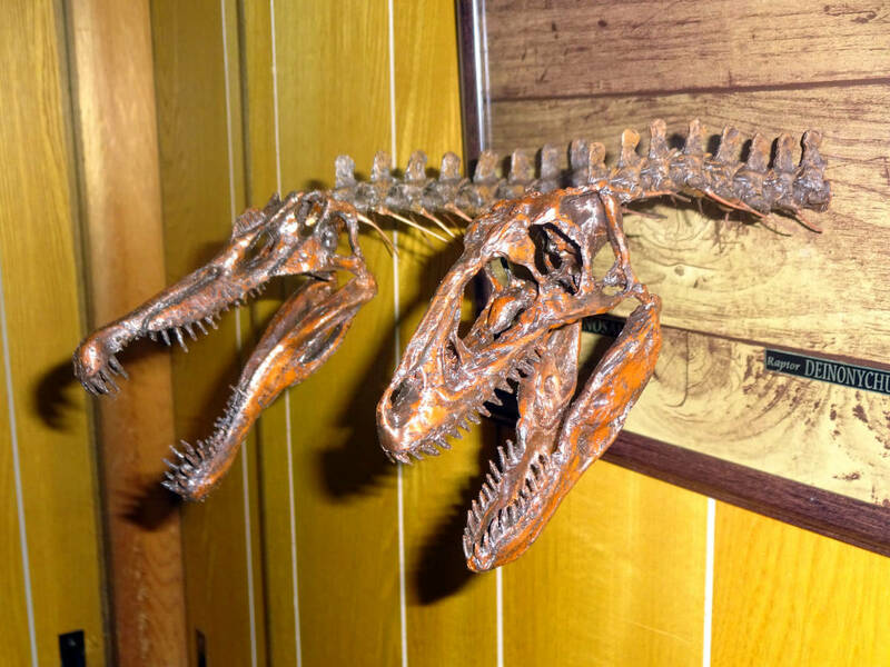 恐竜頭蓋骨壁掛け　額縁サイズ320mm×235mm スピノサウルス　ラプトルデイノニクス　ジュラシッパーク