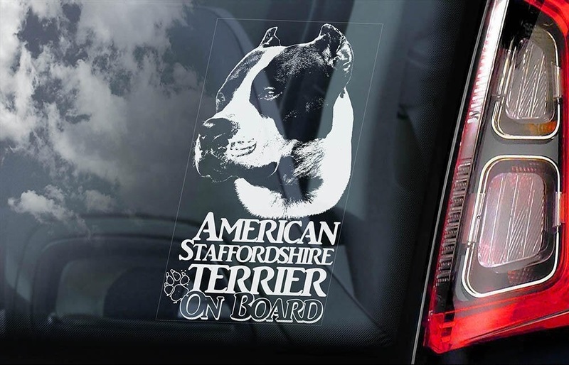 ◆アメリカン・スタッフォードシャー・テリア/アムスタフィー/スタッフィー⑬外張り カーステッカー 外貼り カー ステッカー シール 犬D13