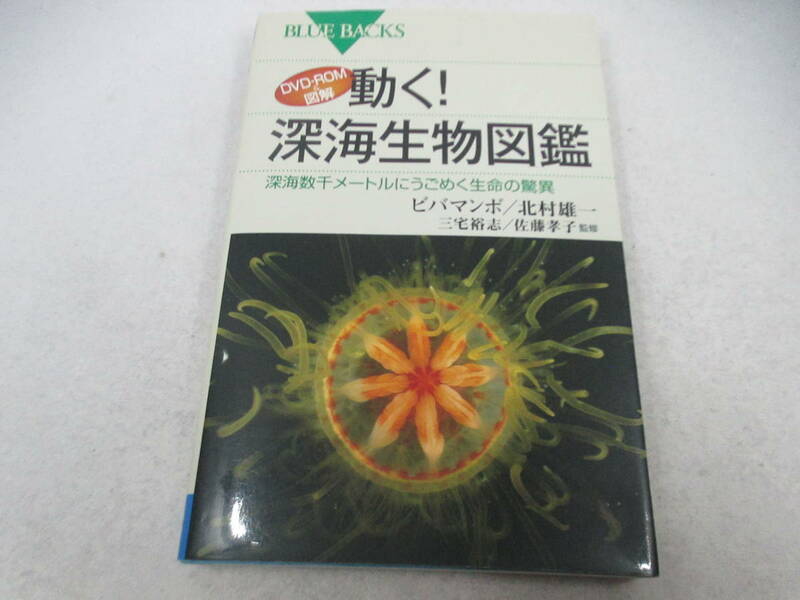 ◆単行本/DVD-ROM付「動く！深海生物図鑑」
