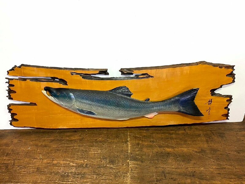 特大 木彫りの鮭 48cm×160cm シャケ 在銘 落款 壁掛け 北海道 アイヌ工芸　/SR25