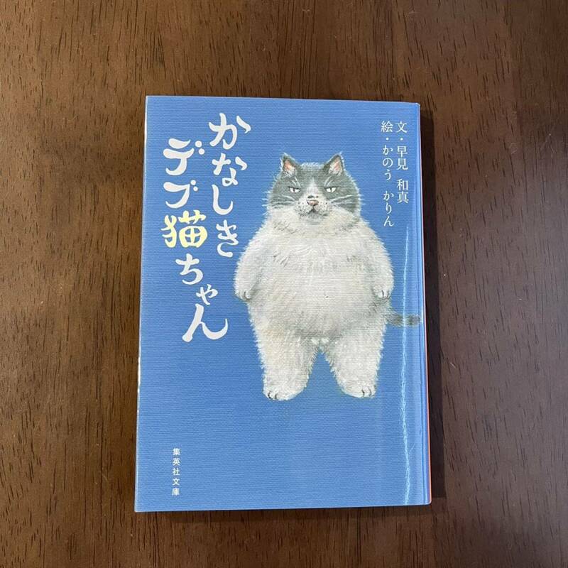 かなしきデブ猫ちゃん　早見和真　かのうかりん　集英社文庫