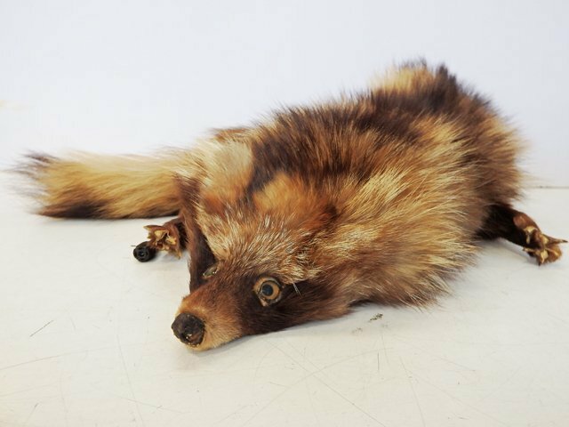 【毛皮】ラクーン Raccoon 襟巻 顔つき ティペット ブラウン系