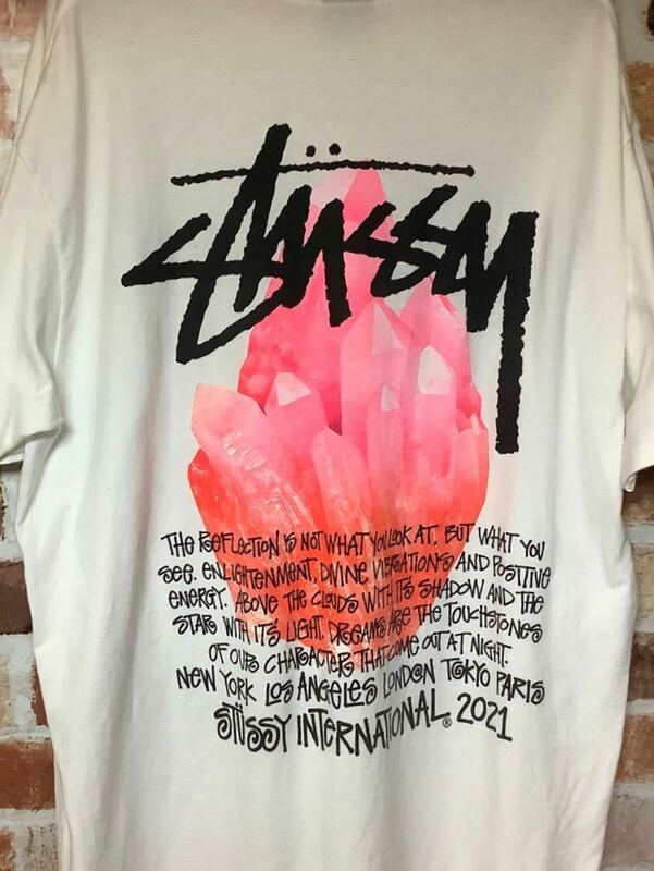 STUSSY Tシャツ Lサイズ