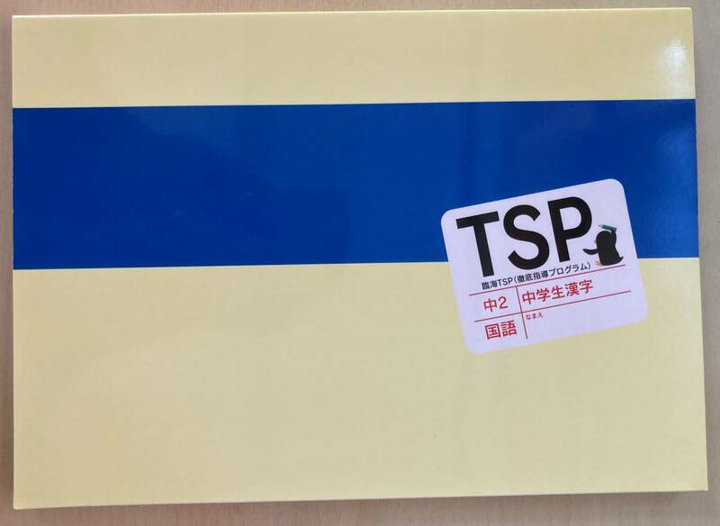 ★塾用教材★臨海セミナー 中２/中学２年 TSP 徹底指導プログラム 国語 中学生漢字 問題集 解答付