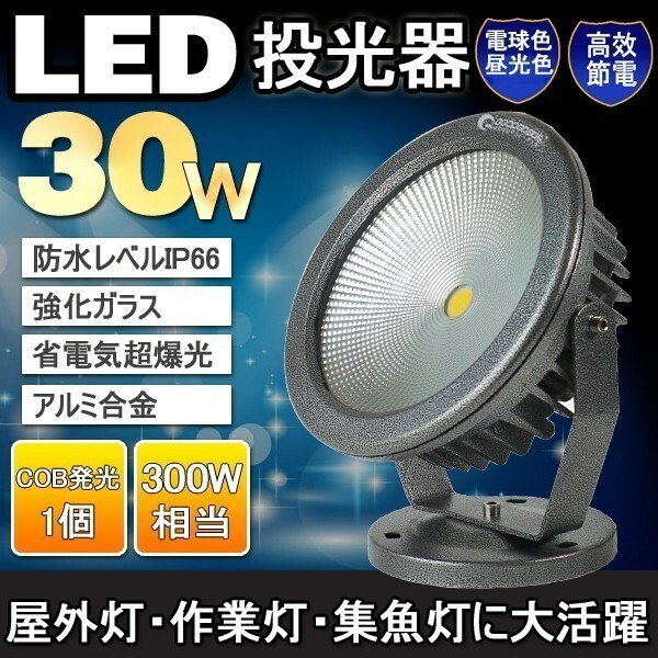 GOODGOODS LED投光器 30W 300W相当 防水 COBタイプ 看板灯 集魚灯 作業灯 駐車場灯 屋外 船舶 ステージ 昼光色 CO30-DQ