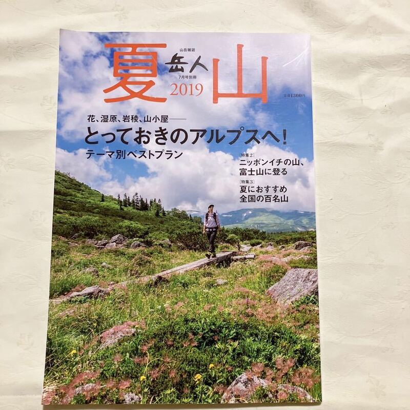 岳人　2019年7月号別冊　夏山　とっておきのアルプスへ！