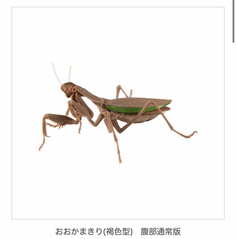 新品未組み立て　バンダイ ガチャ オオカマキリ 褐色型 腹部膨張版 ガチャガチャ いきもの大図鑑 カマキリ