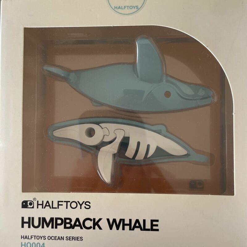 クジラ 骨格 模型 HALFTOYS HO004 HUMPBACK WHALE