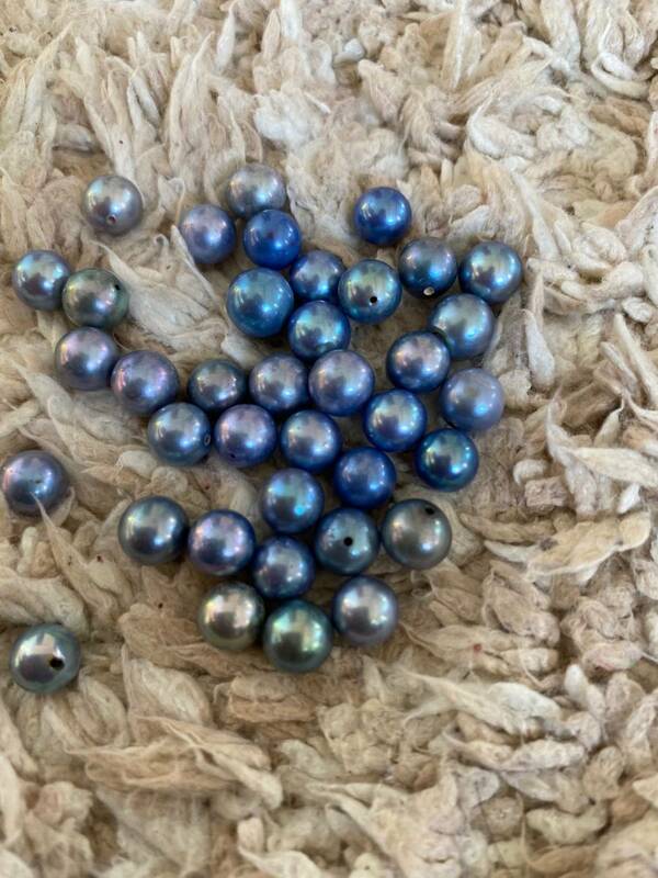 珍しい本黒真珠 青色 ブルー系　約７ｍｍ以上 １個玉 ばら売り