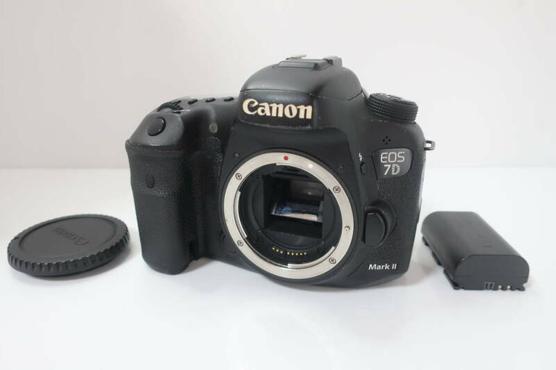 ★実用品★ Canon キャノン EOS 7D MarkII #2269