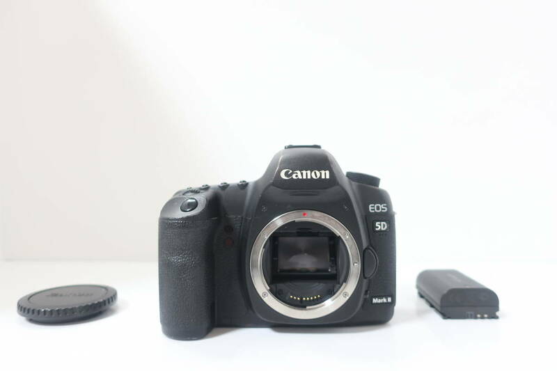 ★実用品★ Canon キャノン EOS 5D MarkII #2594