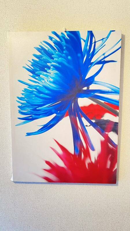 Francfrancフランフラン購入キャンパスアートパネルグラフィック絵画木枠立体 赤青花フラワー
