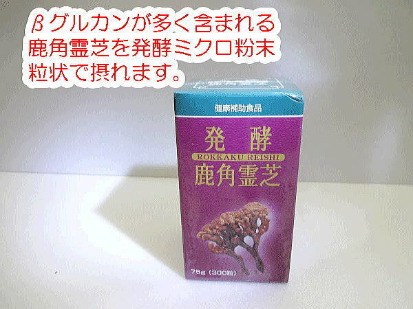 【送料無料】発酵鹿角霊芝　75グラム（300粒）×2