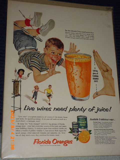 オレンジジュース　Florida Orange Juice １９５０年代　ビンテージ　B4判　Life誌切抜き　フロリダ柑橘類委員会