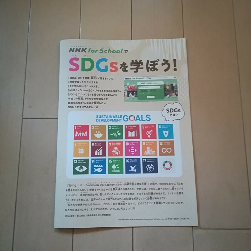 送料込み　即決　SDGsかるた　コンテスト　おうぼ用紙　NHK for school で SDGs を学ぼう！冊子　応募用紙