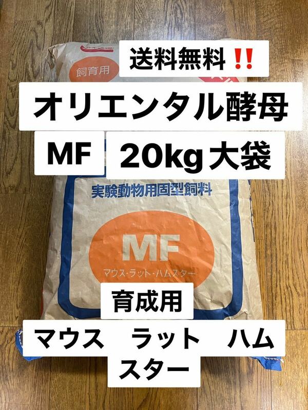 オリエンタル酵母　MF 育成用　20kg 大袋　マウス　ラット　ハムスターフード　沖縄県及び離島発送不可　