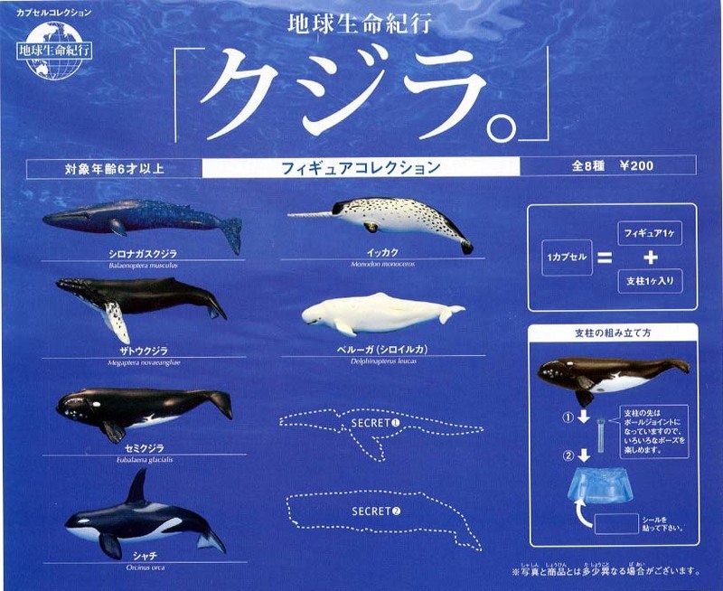 ◎エポック 地球生命紀行「クジラ。」 ノーマル６種セット 新品・未開封 シロナガスクジラ ザトウクジラ セミクジラ シャチ イッカク
