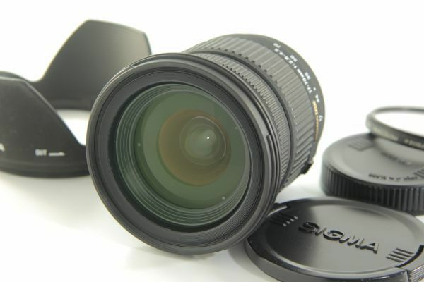 し07★最短撮影距離20cm 美品★ SIGMA シグマ Sony ソニー用 AF 17-70mm F2.8-4 DC MACRO hn-jigb