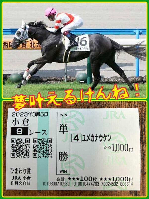 現地購入！ユメカナウケン 単勝馬券　ひまわり賞　TNC佐藤有里香アナが名付け親の九州産馬　お守り 開運 JRA 小倉競馬場