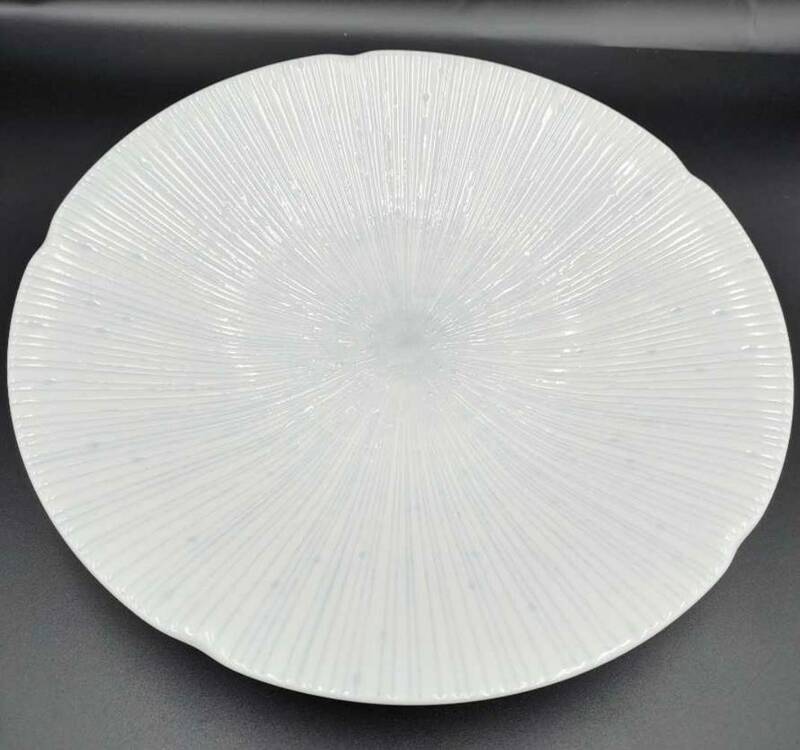  有古窯 滴付きデザインプレート パスタ皿 美濃焼 皿 大皿 食器 直径約24,5cm