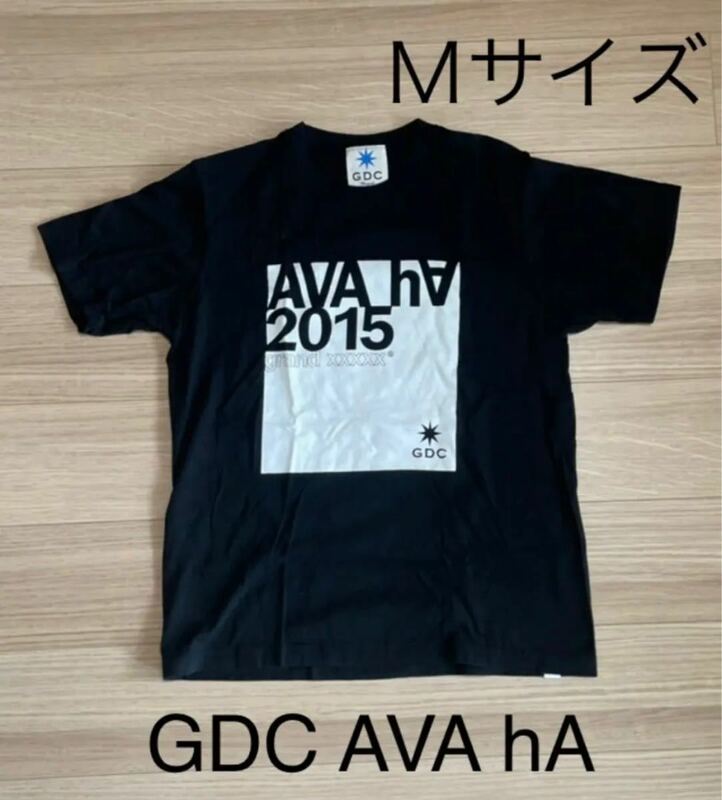 GDC AVA hA 2015 Tシャツ Mサイズ グランドキャニオン