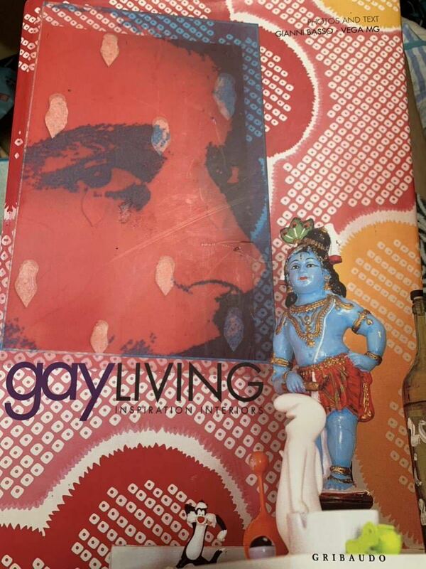 希少　gay living inspiration interiors /Gianni Basso-Vega MG / GRIBAUDO