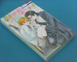 初版　スキップ・ビート!46巻　仲村佳樹　白泉社　HC花とゆめコミックス(アルファ)