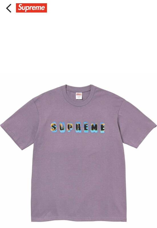 ★Supreme Stencil Tee Dusty Purplel Lサイズ シュプリーム box logo Tシャツ 新品未開封 送料無料