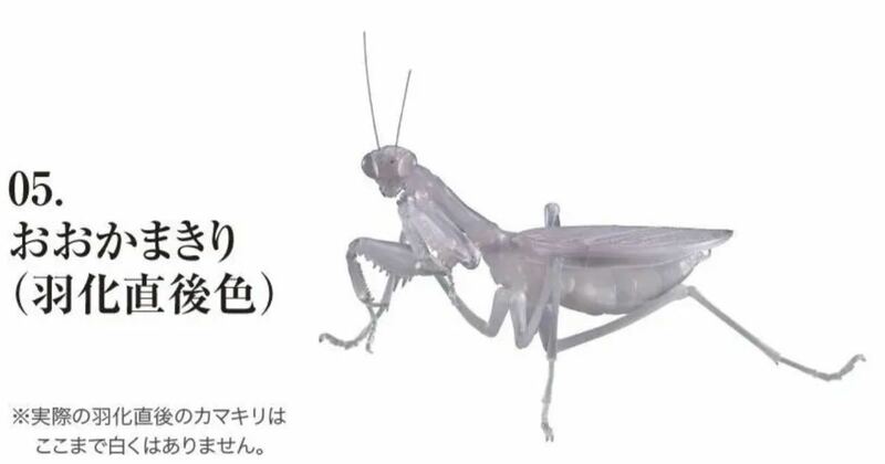 いきもの大図鑑 かまきり オオカマキリ羽化直後色 新品未組み立て　2020年製