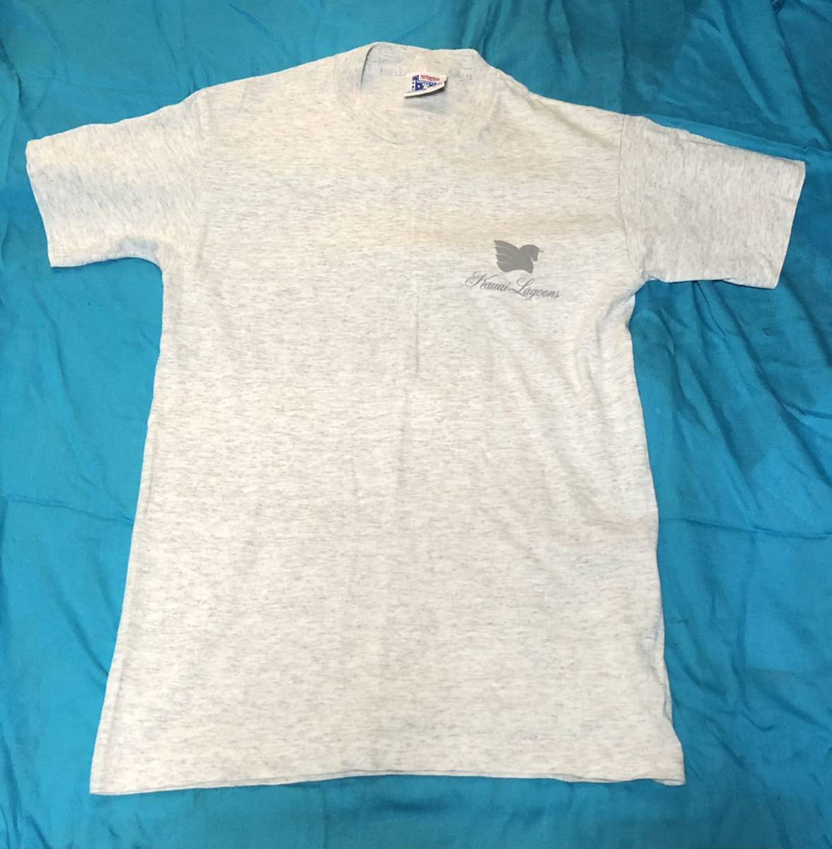 AMERICA'S FINESTアメリカ製霜降りプリント入Tシャツ　MADE IN U.S.A.