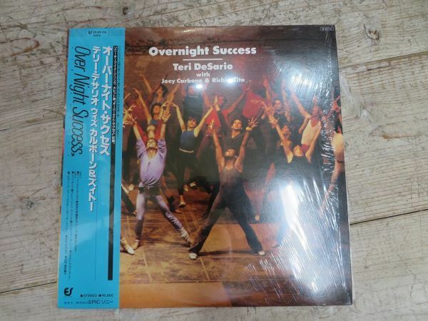 【中古】 LP盤 Teri DeSario* With Joey Carbone & Richie Zito/Overnight Success テリー・デサリオ 1984年 検索用⇒ Ocean Of Love/D0917