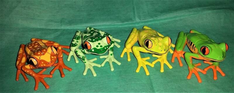 パズル：MASTER Frogs 4D Puzzle カエル フロッグ 立体 パズル リアルフィギュア 4種/オクパナ