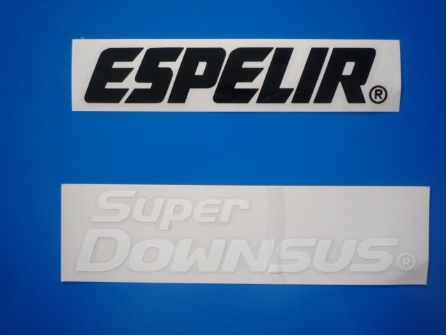 ☆彡 エスペリア エンブレム ESPELIR Super Downsus　新品・未使用