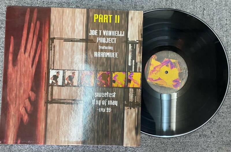 レコード PARTⅡ JOE VANMELLI PROJECT featuring HARAMBEE sweetest day of may rmx99 230801-111