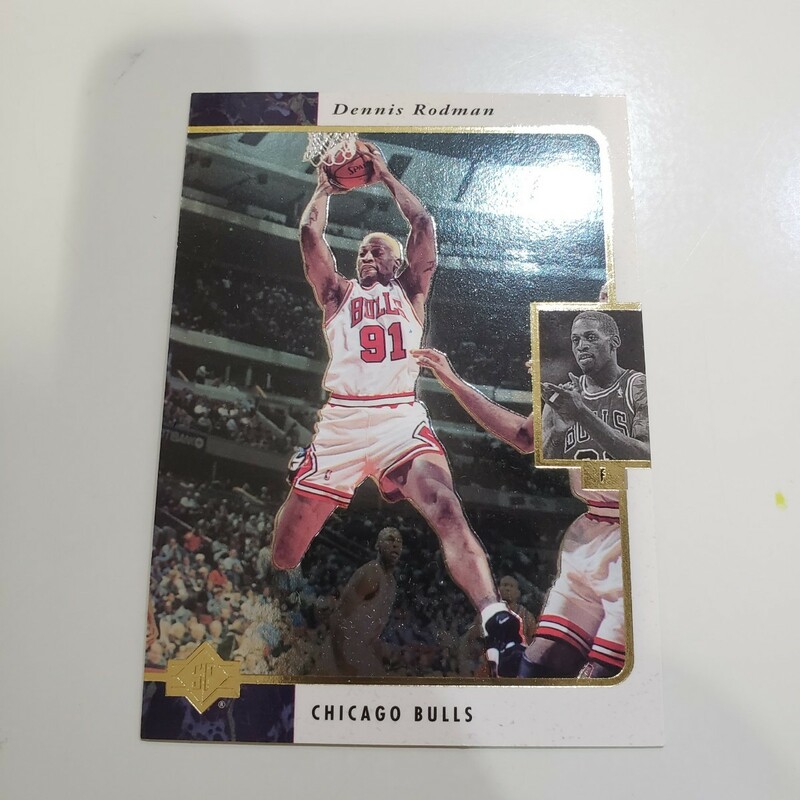 NBAカード デニスロッドマン ロドマン 1995-96 UPPER DECK SP Denis Rodman レギュラー ブルズ　ロッドマン トレーディングカード