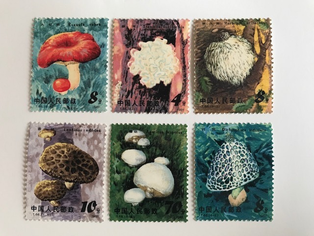 ◆中国切手◆ １９８１年　きのこ６種