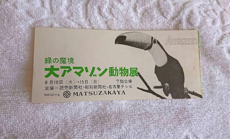 昭和レトロ 昭和43年 1968年 緑の魔境 大アマゾン動物展 入場券 半券 名古屋 松坂屋 オニオオハシ オオオオハシ アマゾンの宝石