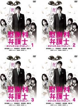 慰謝料弁護士 あなたの涙、お金に変えましょう 全4枚 第1話～第12話 最終 レンタル落ち 全巻セット 中古 DVD