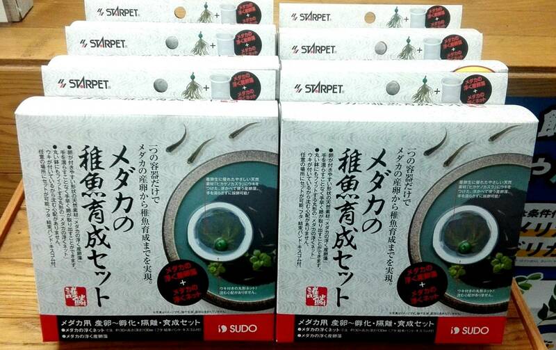 OASISAQUA超お買得！赤字処分SD　メダカの稚魚育成セット　4個セット新品