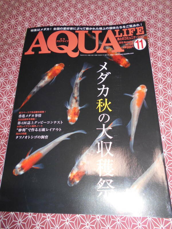 ★アクアライフ 2016年11月号メダカ秋の大収穫祭★熱帯魚やメダカ、アクアリウムに興味のある方いかがでしょうか。色々な魚の情報満載です~