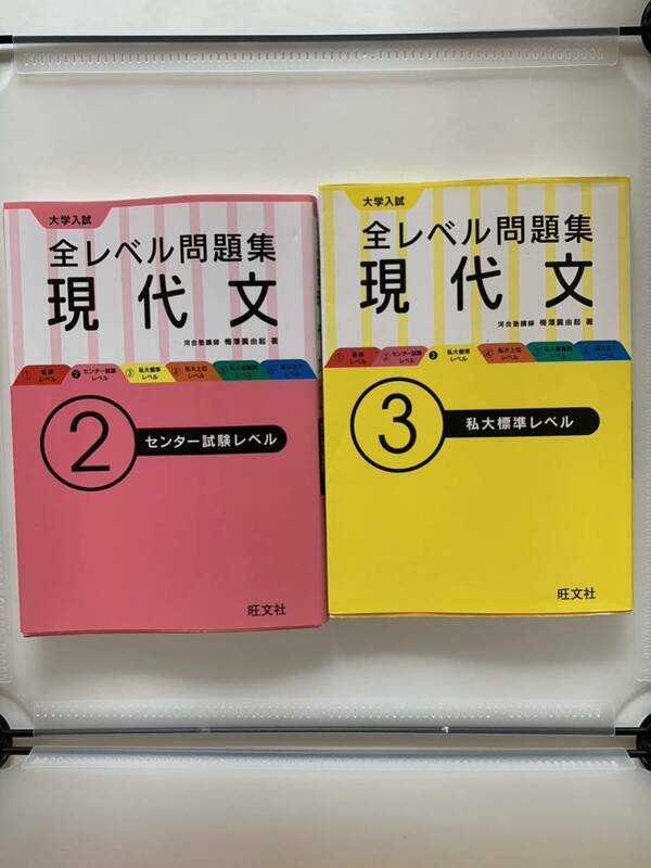 大学入試全レベル問題集現代文　2及び３ 梅澤眞由起／著