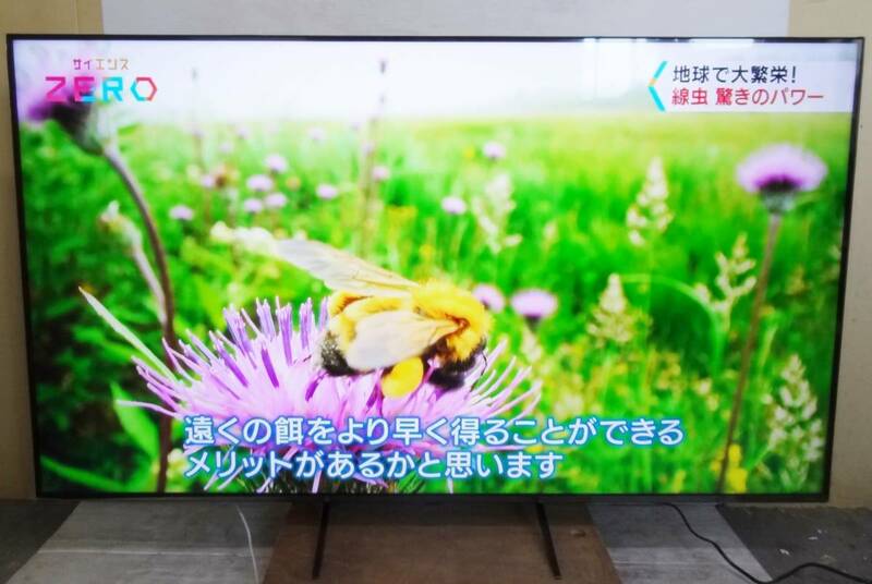 CP1295d LG 65V型 4K量子ドット液晶テレビ 65QNED85JQA 23年製 店頭受取可 大阪茨木市